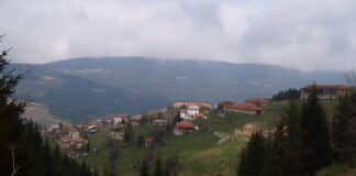 Община Родопи