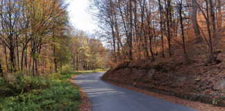 Път Трявна - Царева ливада