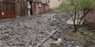 Ул. Георги Бенковски