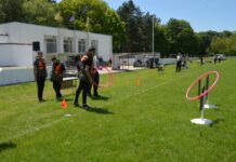 Състезание във Вълчи дол