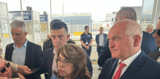 Виолета Коритарова