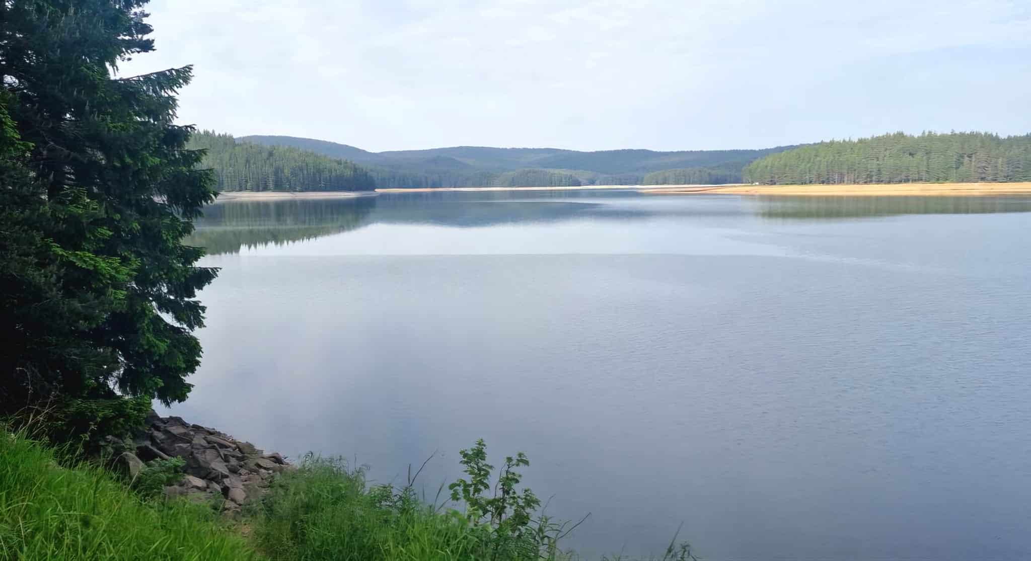 Служители на Изпълнителната агенция по рибарство и аквакултури ИАРА извършиха