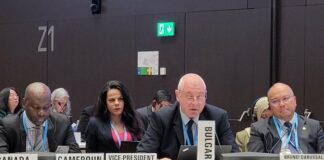 Здравина сесия на СЗО