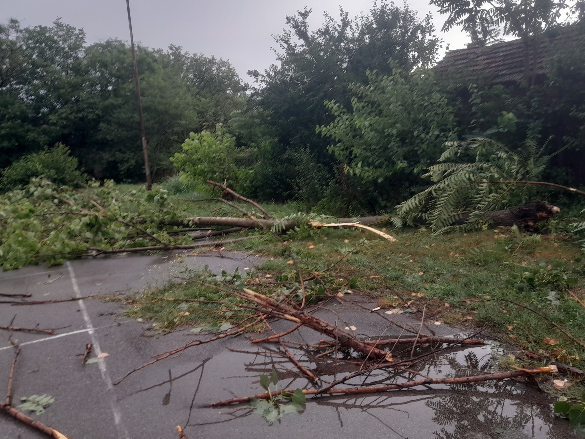 Бурята Снимка Galq Jivkova Facebook
Мощна буря е връхлетяла Монтанско тази