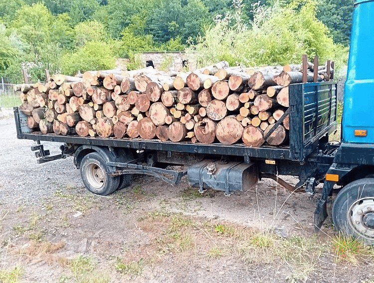 Прекратена е дейността на две сечища и е спряна работата