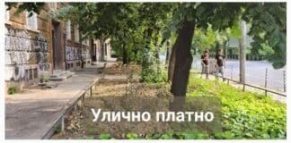 Дървета в София