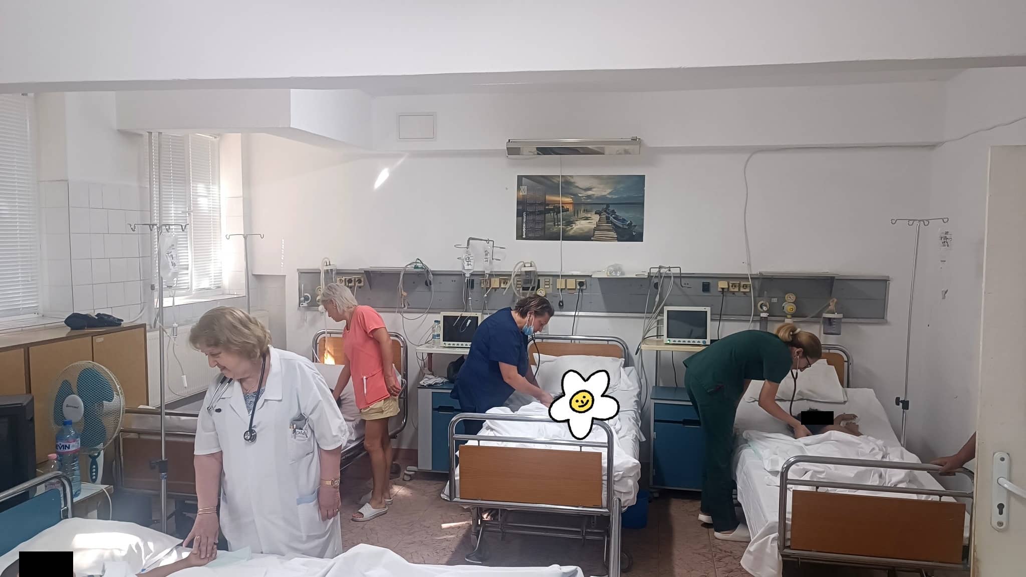 6 деца които са консумирали бисквити с канабис са били