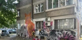 Художници рисуват графити на блок в Бургас Сан Стефано (2)