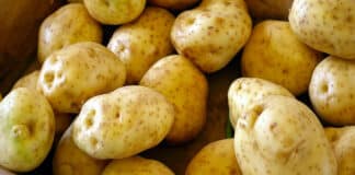 Картофопроизводители