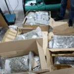 Марихуаната