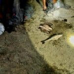 Нарушение в язовир "Жребчево"