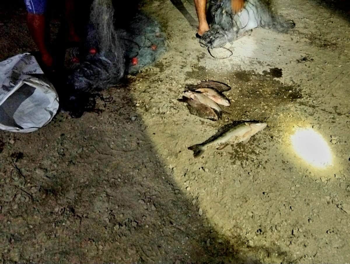 През изминалата седмица служители на са заловили трима нарушители В началото