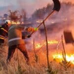 Огнеборци се борят с пожар