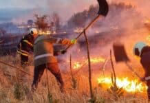 Огнеборци се борят с пожар