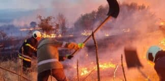 Огнеборци се борят с пожар