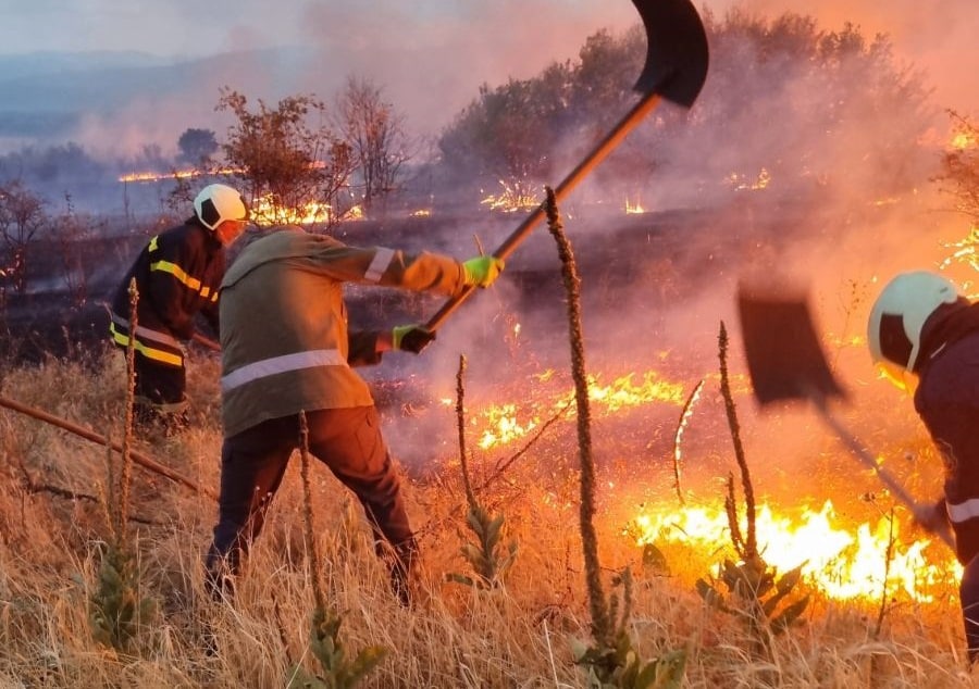 Над 900 декара горска и земеделска площ са изгорели в