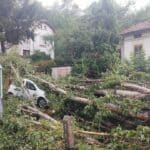 Паднали дървета са затиснали автомобил след мощната лятна буря в Плевен