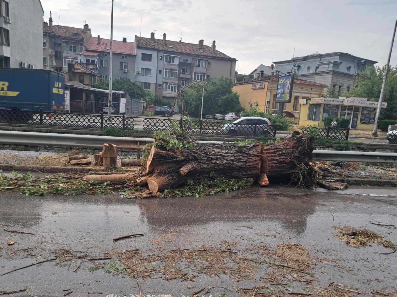 На горещия телефон на Община Плевен 064 881 323 за последния