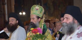 Патриарх Даниил във Видин