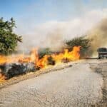 Пожарът в Свиленградско