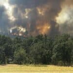 Пожар в общините Калояново и Хисаря