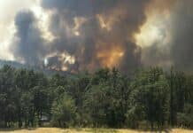 Пожар в общините Калояново и Хисаря