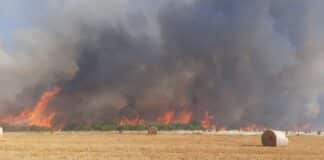 Пожар, с.Горска поляна, Болярово