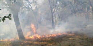 Пожар край Гребна база