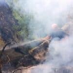 Пожар край село отец Паисиево, област Пловдив