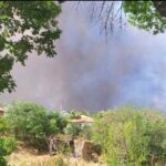 Пожар край село Отец Паисиево, Пловдив