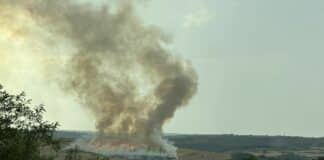 Пожар край село Царевец