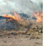 Пожар село Левка, Свиленградско