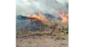 Пожар село Левка, Свиленградско