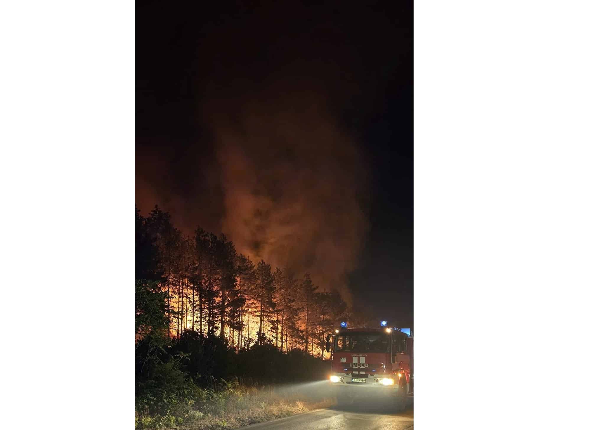 Периметърът на големия пожар северно от Стара Загора е заграден