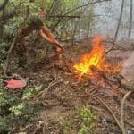 Пожар в България