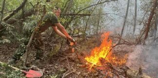 Пожар в България