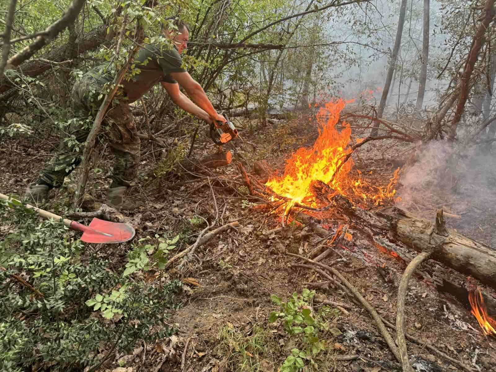 Пожар който е обхванал приблизително 4000 декара по билото и