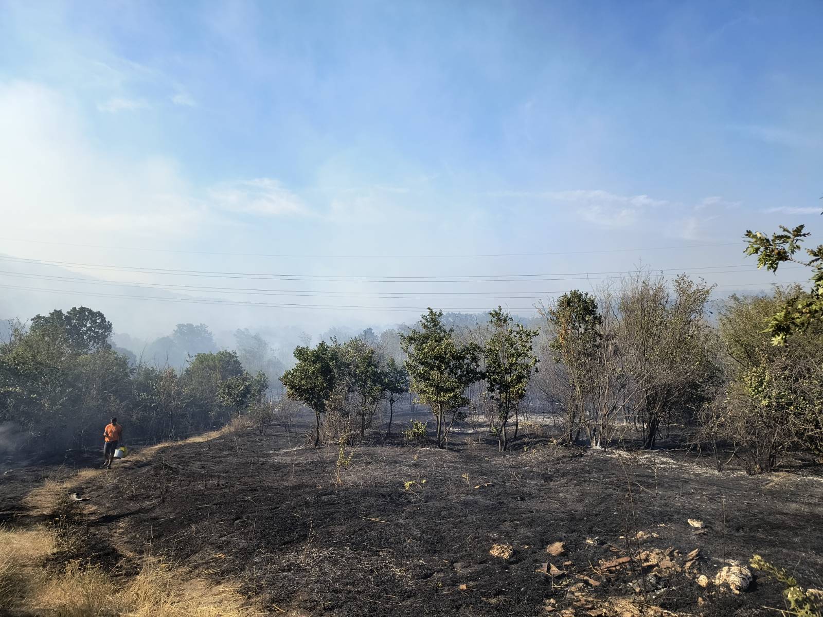 Големите пожари на територията на община Аксаково между селата Слънчево