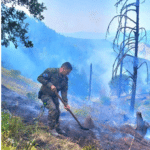 Пожарът, с. Голешово, община Сандански