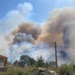 Пожарът, Община Тополовград