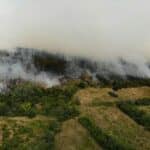 Пожарът в село Студена