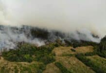 Пожарът в село Студена