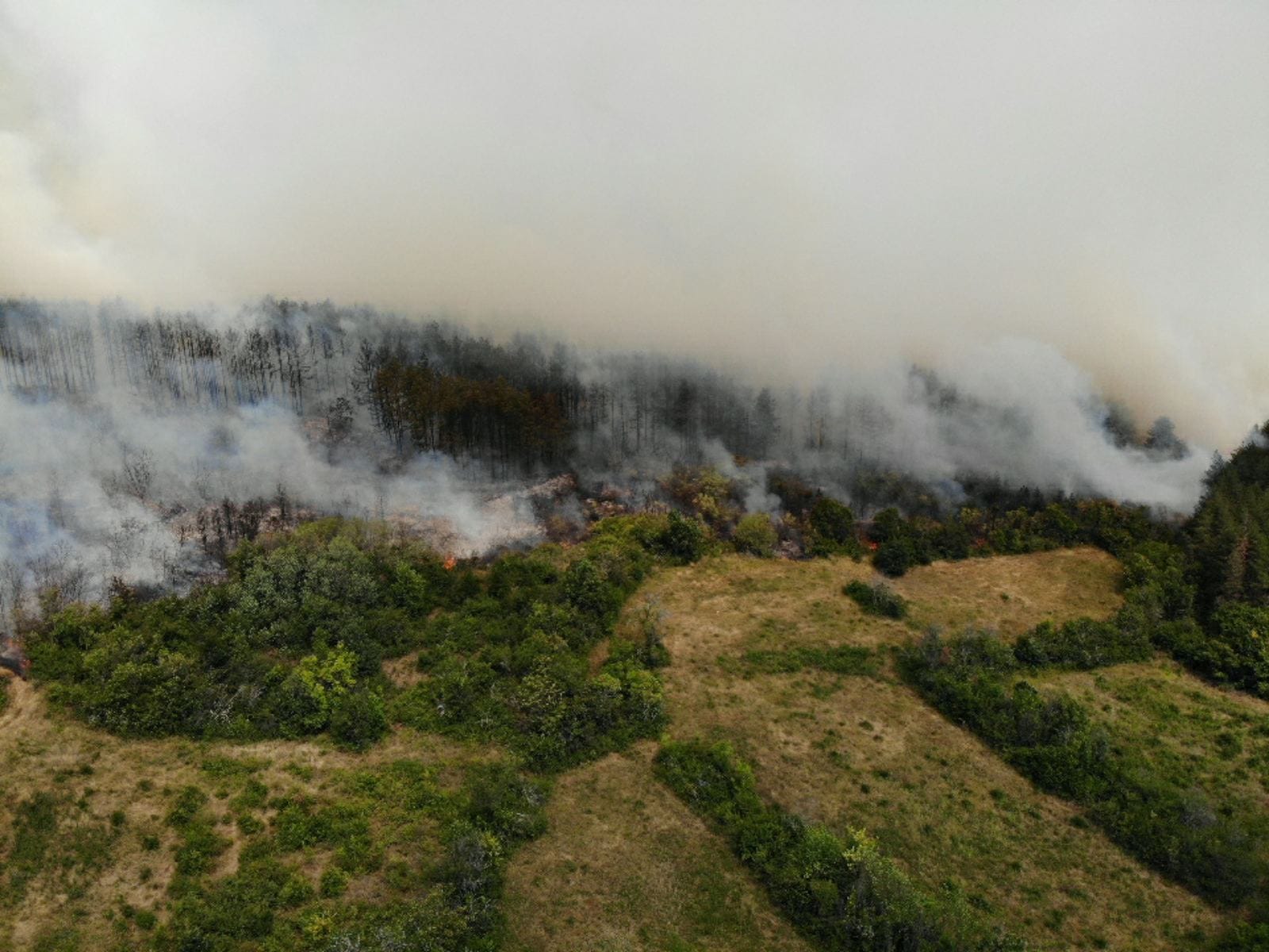 Продължават усилията на пожарникарите за справяне с огъня възникнал в
