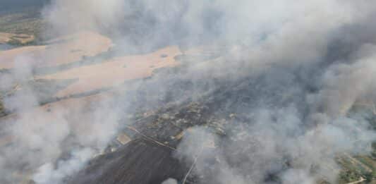 Пожарът край Харманли