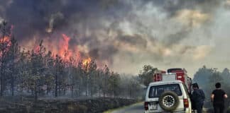 Пожарът в Харманли