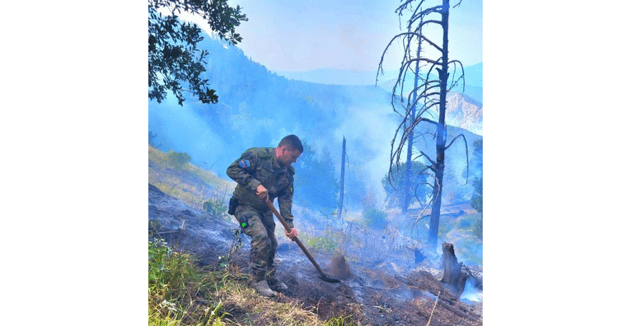 Днес два хеликоптера на Военновъздушните сили участват в борбата с