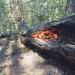 Пожарът в село Червена ябълка