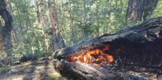 Пожарът в село Червена ябълка