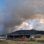 Пожари в общините Калояново и Хисаря