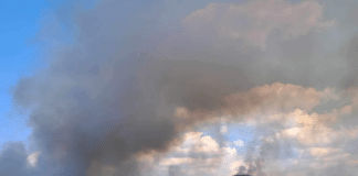 Пожари в общините Калояново и Хисаря